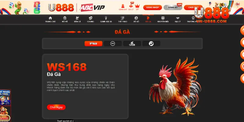 U888 - U888.COM | Link Trang Chủ Chính Thức 2026 8 Đá gà tại U888