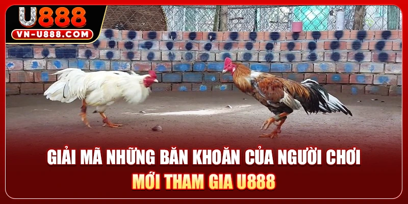 Giải mã những băn khoăn của người chơi mới tham gia U888