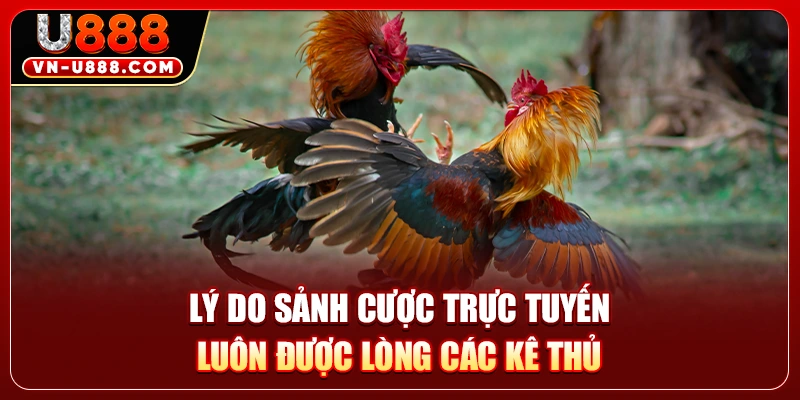 Lý do sảnh cược trực tuyến luôn được lòng các kê thủ